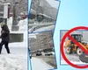 VIDEO Bucureștiul, sub Cod roșu de neputință! Statul încasează miliarde din taxe și impozite, dar vatmanii fac munca utilajelor. Mijloacele de transport rămân în continuare blocate. Prefectul Capitalei: „Planurile de deszăpezire sunt foarte vechi”