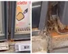VIDEO Fost director la Protecția Consumatorilor, șocat de ce a găsit în magazine din Franța. ”Dacă nu de la cei mai buni, de la cine să învățăm?”