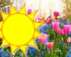 Prognoza meteo. Vremea se schimbă radical după weekend, se anunță temperaturi de 20 de grade. Anunțul de ultimă oră al meteorologilor