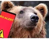Ro-Alert marţi seara, un urs a fost văzut în oraşul Cugir. Amenzi de 30.000 d elei pentru cine hrăneşte urşii