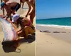 Apariție de coșmar pe plajele Mexicului. Doi „pești ai apocalipsei” au fost găsiți la țărm! Legenda înfiorătoare care îi face pe localnici să tremure
