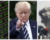 Donald Trump nu e preocupat de prețul în creștere al petrolului. ”Mult mai important pentru mine este să împiedic Iranul să deţină arme nucleare”