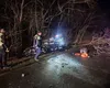 Imagini cumplite de la accidentul din Neamț, cu 4 morți și 3 răniți. Unul dintre șoferi a murit de ziua lui, celălalt ar fi trebuit să împlinească 20 de ani mâine. Un bebeluș de 5 luni a rămas orfan de ambii părinți VIDEO