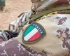 Un nou teritoriu NATO atacat de Iran. Bază militară italiană din Kurdistanul irakian, lovită de un atac aerian