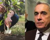 Călin Georgescu îi cheamă pe susținători la plantat de copaci, sâmbătă, 14 ianuarie, la ora 12.00: „Declar ziua aceasta Ziua Sădirii Arborelui. Chem tot poporul român, de la mic la mare, să sădească un puiet de arbore sau un pom fructifer”