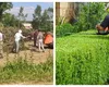 Obiceiul care aduce amenzi uriașe românilor care locuiesc la curte. Greșeala pe care o fac mulți români când își curăță grădinile