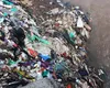 Noi reguli pentru aruncarea deșeurilor. Amenzi de până la 40.000 de lei pentru neîndeplinirea obligațiilor