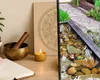 Feng Shui în grădină: Cum îți transformi spațiul verde într-o oază de liniște și noroc