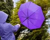Alertă meteo cod galben de vânt puternic în mai multe județe. Alternanțe periculoase de temperatură în România