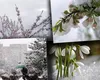 6 zile consecutive de ninsoare în România! Anunțul făcut de meteorologii AccuWeather