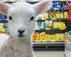 Lidl aduce mielul românesc la galantar înainte de Paşte. Ce chilipiruri sunt în acest weekend şi surpriza pregătită pentru cei nevoiaşi