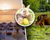 Cât costă o vacanță de Paște în 2026. Prețul pentru un sejur la mare sau în Delta Dunării