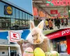 Paște 2026: După ce program vor funcționa supermarketurile Lidl, Kaufland, Auchan și Profi în zilele de sărbătoare