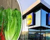 Au apărut primele verdețuri la Lidl. Razele de soare vestesc oferte irezistibile la legumele de primăvară