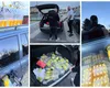 Criza carburanților îi împinge pe români la gesturi extreme. Șoferii au început să facă plinul la mașini cu ulei de floarea-soarelui
