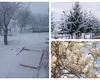 VIDEO Vreme de Crăciun în weekendul de Paşte, temperaturile ajung la -5 grade Celsius şi ninge ca-n poveşti. Ce arată „indicele de împrimăvărare” al ANM