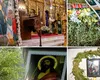 Calendar ortodox 5 aprilie 2026. Duminica Floriilor marchează Intrarea Domnului în Ierusalim. Dezlegare la pește, ce este bine să faci pentru sănătate și noroc