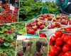 Căpșunele românești au apărut pe tarabe. Cât costă kilogramul