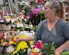 Câți bani primesc pe lună florăresele de la Magnolia, Floria, Iris, Maison d’Or, OK Flora si Florăria Magheru. Cine plătește mai bine în 2026