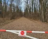 Poziția Federației Greenfield după ce Romsilva a oprit accesul auto prin Pădurea Băneasa: ”Măsură abuzivă și nejustificată la adresa a peste 6.000 de cetățeni”