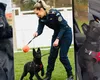 Cum învață Iureș, un ciobănesc german de la Centrul Chinologic din Sibiu, să depisteze droguri. Are doar 4 luni