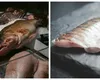 Peștele bate toate recordurile de preț în România, înainte de Florii! Cât a ajuns să coste o specie considerată de mulți ”banală”