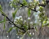 Prognoza meteo. Temperaturile scad în week-end. Care sunt zonele zonele unde va ploua