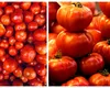 Cât costă roșiile românești la producător și la ce preț ajung pe tarabele din piețe. ”Cererea este mai mare decât oferta”