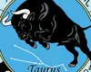 Horoscop special ZODIA TAUR 2026! Ce îți aduce NOU senzualul Taur?