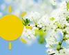 Vreme caldă luni, 6 aprilie, în România – temperaturi de până la 25°C. ANM anunță ploi, vânt puternic și ninsori la munte