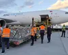 Ciobanii români au reconfigurat traseul. 4.000 de oi ajung în Algeria cu avioane cargo, nu pe cale maritimă VIDEO