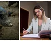 Ministerul Mediului schimbă cotele de vânătoare. Diana Buzoianu: ”Există numeroase cazuri în care evaluările se fac din pix”
