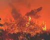 Incendiu violent în regiunea Toscana, a fost mobilizată armata VIDEO