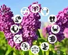 Horoscop 3 mai 2026. Nativii manifestă o dorință mai mare de libertate și autenticitate. Mulți vor simți nevoia să își depășească limitele și să renunțe la obiceiuri care nu le mai fac bine