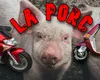Cursă „nebună” într-o comună din Iași. Doi tineri au băut la barul „La Porc”, s-au întrecut cu scuterele 5 – 10 metri și au intrat unul în altul