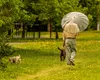 Prognoza meteo lunară. Vine vara, vreme de umbrelă de soare. Fenomenul care poate aduce caniculă, secetă și furtuni violente în România