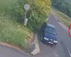 Urs filmat lângă staţia de autobuz de lângă şcoală