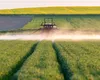 Fermierii pot depune în următoarele zile cererile de plată în cadrul Campaniei 2026. Anunțul făcut de APIA