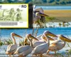 Vouchere de vacanţă 2026: Reducerea valorii tichetelor şi scăderea puterii de cumpărare temperează rezervările pentru vacanţa de Rusalii. Ofertele pe Riviera Românească de Rusalii pornesc de la 47 lei/noapte