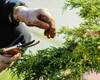 Cât costă să îți amenajezi grădina în România în 2026. Prețurile ajung și la 17.500 de lei