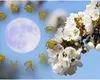 Horoscop pentru weekendul 1-3 mai 2026. Ce schimbări aduce Luna Plină în Scorpion pentru zodii
