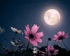 Două Luni Pline, duble şanse financiare în luna mai 2026. Vezi ce spune horoscopul banilor pentru zodia ta! 