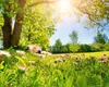Prognoza meteo 5 mai. Temperaturi de vară și ploi în România. Termometrele vor urca spre 28 de grade