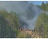 Incendiu de pădure pe Valea Anieşului. Focul a pornit de la o ţigară aruncată aprinsă