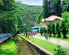Localitatea din România unde poți cumpăra o casă cu doar 2.500 de euro. Cum arată locuința