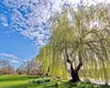 Ninsori, îngheț și chiar ger în minivacanta de 1 Mai. Apoi temperaturile vor crește spre 25 de grade în mai multe zone. Prognoza meteo ANM în perioada 4-31 mai 2026