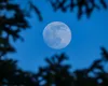 Horoscop săptămânal 25–31 mai 2026. Luna Albastră în Săgetător dă totul peste cap pentru toate zodiile