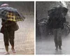 În ce orașe va ploua toată luna iunie. Date de ultimă oră despre vremea din această vară de la meteorologii EaseWeather