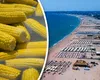 „Porumbul de plajă” a ajuns produs de lux. Cât plătesc turiștii pe litoral pentru un știulete de 1 Mai
