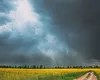 Prognoza meteo 2 mai 2026. Vremea se menține rece și va ploua. La munte se anunță ninsori